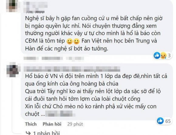 5 Loi Van Hoa Cua Nghe Si Trong Vu Viec Ho Hoai Anh   Hong Dang