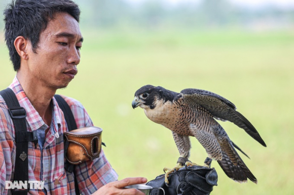 8 Dan Choi O Ha Noi Chi Chuc Trieu Nuoi Loai Chim Trinh Sat Tren Khong