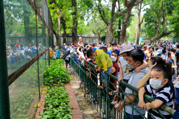 1 Quan 400000 Dan O Ha Noi Nhung Khong Co Cong Vien Nao