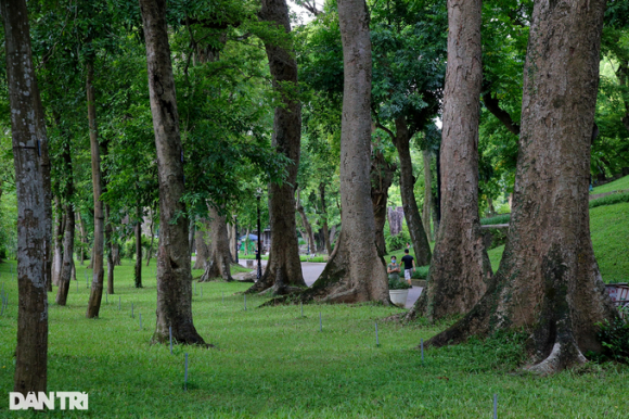 1 Nguoi Dan Ha Noi San Long Chi Tien De Cai Thien Dien Tich Cay Xanh Do Thi