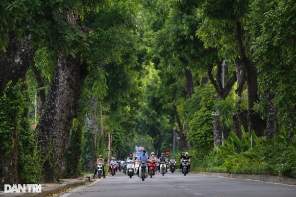 2 Nguoi Dan Ha Noi San Long Chi Tien De Cai Thien Dien Tich Cay Xanh Do Thi