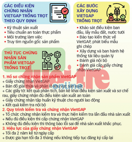 2 Phanh Phui Rau Vietgap Dom Mua Chung Nhan Vietgap De Nhu Mua Rau