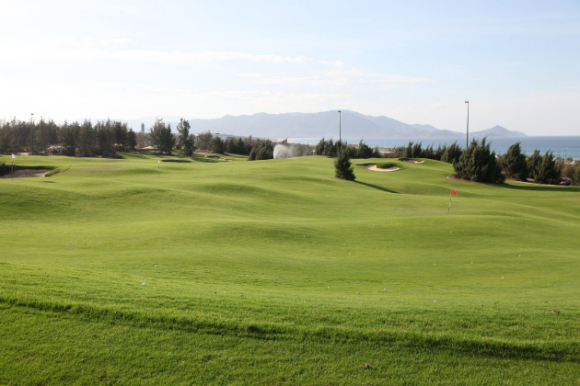 1 Phu Yen Muon Chuyen Dat Trong Lua Kem Hieu Qua Sang Lam San Golf