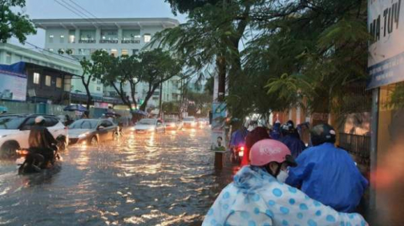 9 Mua Trang Troi Nhieu Tuyen Duong Trung Tam Da Nang Thanh Song