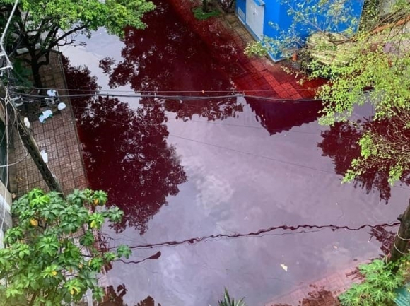1 Tphcm Sau Mua Lon Nuoc Mau Do Tham Boc Mui Hoi Thoi Tran Vao Nha Dan
