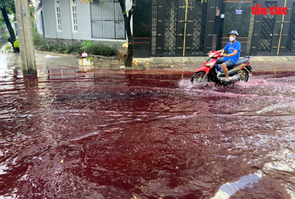 4 Tphcm Sau Mua Lon Nuoc Mau Do Tham Boc Mui Hoi Thoi Tran Vao Nha Dan