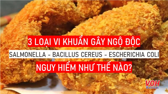 1 Vu Ngo Doc Tai Truong Ischool Nha Trang 3 Loai Vi Khuan Trong Canh Ga Chien Nguy Hiem Nhu The Nao