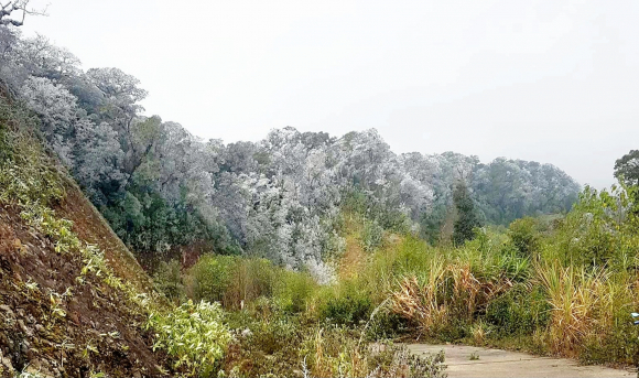 1 Xuat Hien Bang Tuyet O Rung Nui Bien Gioi Nghe An