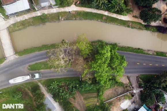 4 Vi Sao Lam Duong Phai Ne 3 Cay Sop Tram Tuoi O Phu Yen