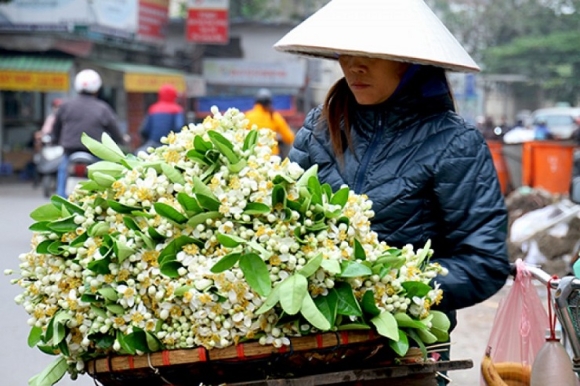 4 Loai Hoa Huong Dong Gio Noi No Sau Ram Thang Gieng Gia Nua Trieukg Van Dc San Lung