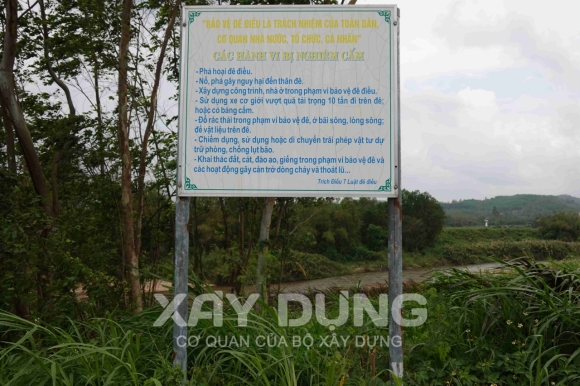 3 Binh Dinh Sat Lo Bo Song La Tinh La Do Nguoi Dan Nuoi Vit Chu Khong Phai Do Khai Thai Thac Cat