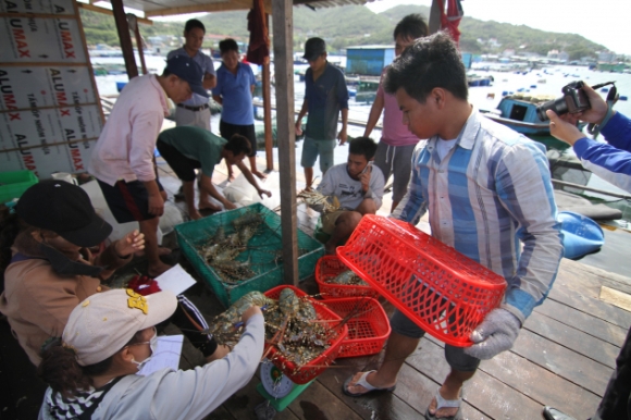 3 Mot Hon Dao Noi Tieng O Khanh Hoa Vi La Dao Giau Co Nong Dan Tum Nhung Con Tom Hum Khong Lo