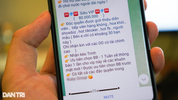 2 Telegram Tro Thanh Cong Cu Moi Gioi Mua Ban Dam Tai Viet Nam