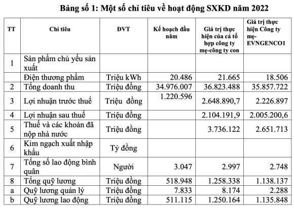 3 Lai Lon Nam 2022 1 Thanh Vien Cua Evn Chi Nghin Ty Tra Luong Thuong 35 Trieu Dongnguoithang Cho Gan 3000 Nhan Vien