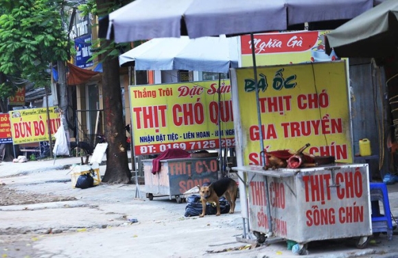 1 Nguoi Nuoc Ngoai Soc To Mo Voi Thit Cho O Viet Nam