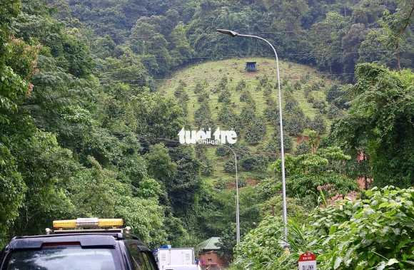 3 Doi Sau Rieng Sat Lo Tren Deo Bao Loc Nhieu Cau Hoi Can Duoc Tra Loi