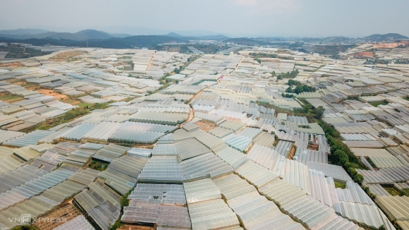 1 Da Lat Vo Mong Nha Kinh Mua Dat Khong Tham Nuoc Chay Di Dau