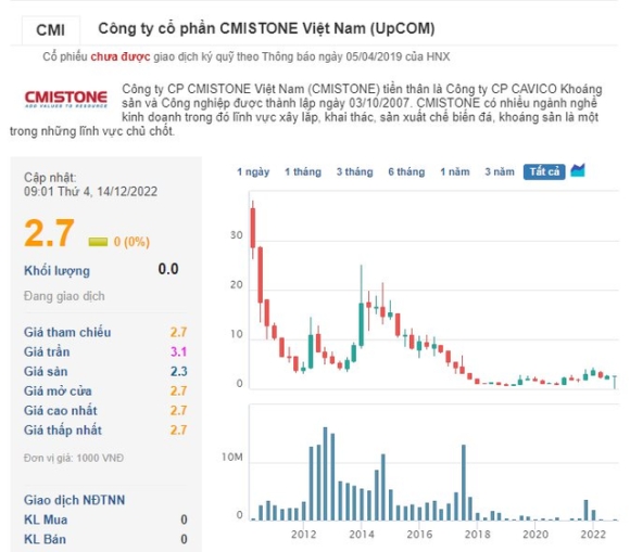 1 La Doanh Nghiep Viet Dau Tien Len Nasdaq Tu 2009 Noi Len Voi Loat Du An Lon Roi Mai Danh An Tich Doi Tac Cung Cap Niken Cho Vines Lam Pin Xe Dien Hien Tai Ra Sao