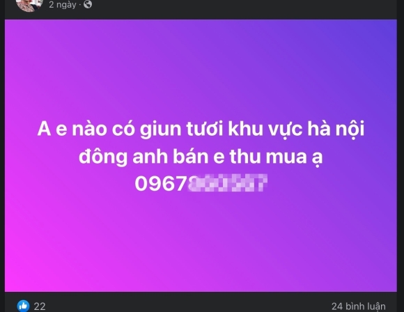 3 Tham Hoa Kich Dien Giun Dat Tan Pha Vuon Tuoc Chieu Tro Danh Nhanh Thu Gon Cua Dau Nau