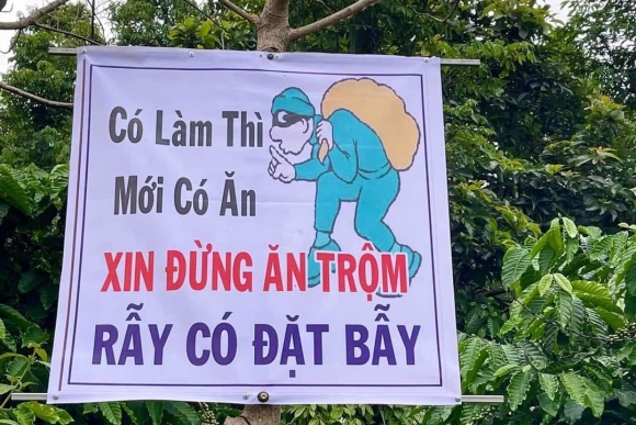 5 Co Dat Chuyen Huong Sang Moi Gioi Sau Rieng O Tay Nguyen