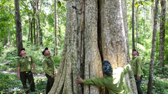 11 Khu Rung Hon 600 Ha Sap Bi Pha Lam Ho Thuy Loi