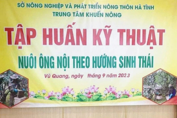 1 Tam Phong Co Chu Nuoi Ong Noi Theo Huong Sinh Thai Xon Xao Mang Xa Hoi