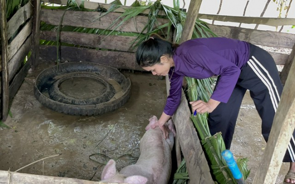 2 Hon 600 Con De Lon Ho Tro Nguoi Ngheo Bat Ngo Chet Nhu Ra O Quang Binh