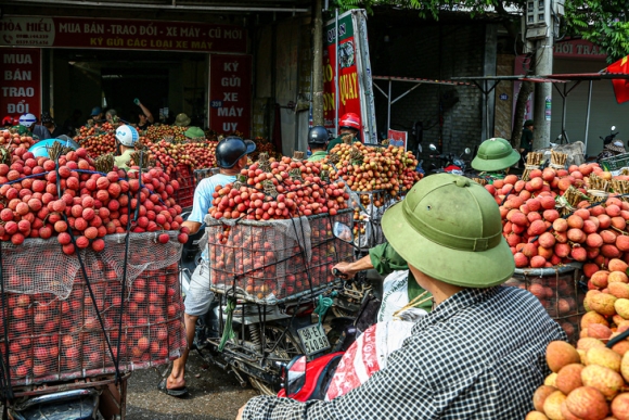 1 Dan Mach Giup Viet Nam Khong Mat Hang Ti Usd Vi That Thoat Lang Phi Nong San