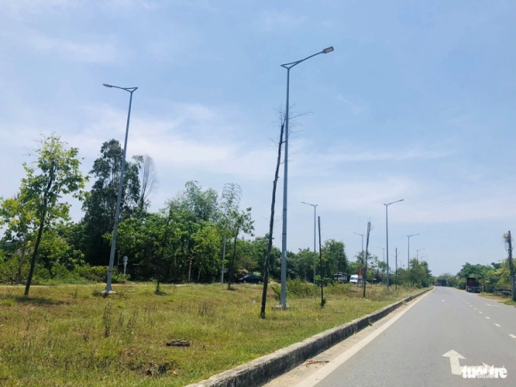 2 Cay Xanh Trui La Chet Kho Tren Duong Tram Ti Trach Nhiem Cua Ai