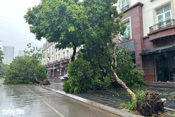 1 Canh Hoang Tan Sau Bao Yagi Tai Cac Khu Do Thi O Ha Noi