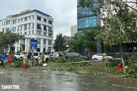 5 Canh Hoang Tan Sau Bao Yagi Tai Cac Khu Do Thi O Ha Noi