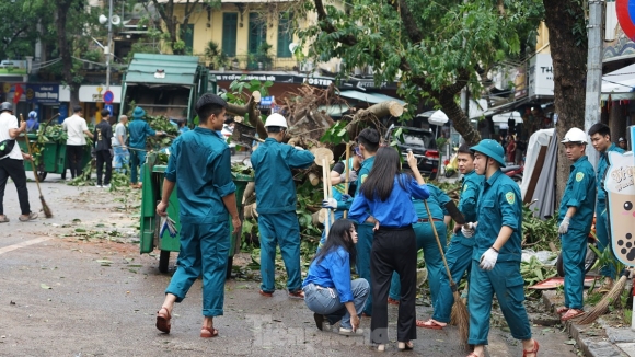 11 Khac Phuc Tinh Trang Cay Xanh Do Ngon Ngang Tren Duong Pho Ha Noi