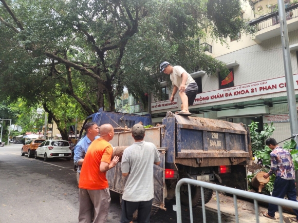 1 Khac Phuc Tinh Trang Cay Xanh Do Ngon Ngang Tren Duong Pho Ha Noi