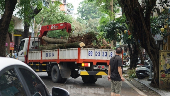 6 Khac Phuc Tinh Trang Cay Xanh Do Ngon Ngang Tren Duong Pho Ha Noi