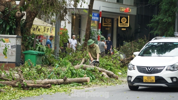 7 Khac Phuc Tinh Trang Cay Xanh Do Ngon Ngang Tren Duong Pho Ha Noi