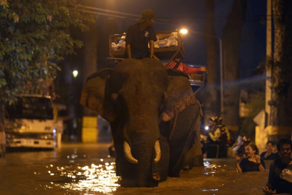 5 Thai Lan Voi Vuot Lu Ho Tro Nguoi Dan Vung Ngap