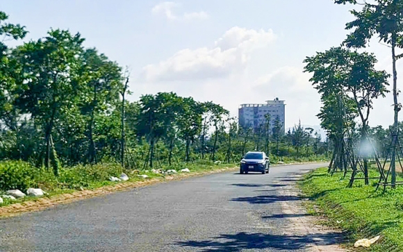 1 Hang Loat Can Bo Lanh Dao Lien Quan Dai An Cay Xanh Tai Quang Binh Bi Bat