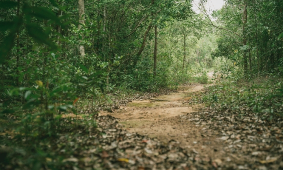 2 Chuyen 63 Ha Rung Dac Dung O Phu Quoc Lam Du Lich