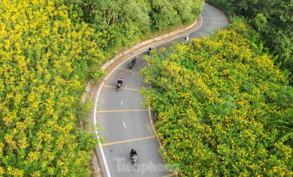 14 Gioi Tre Xep Hang Tu 4 Gio Sang Di San May Ngam Hoa Da Quy