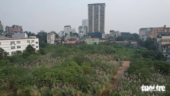 12 Hien Trang Dat Vang Cao Xa La Vua Bi Ra Toi Hau Thu Yeu Cau Bao Cao