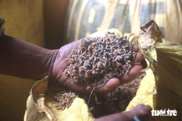 5 Nhieu Ho Kinh Doanh Lua Gao O Da Nang Khoc Rong