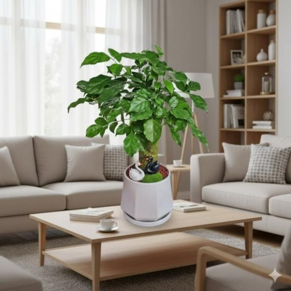 1 Bi Quyet Trong Cay Hanh Phuc Bi Mat Giup Nha Am Cung Hut Nang Luong May Man Moi Ngay