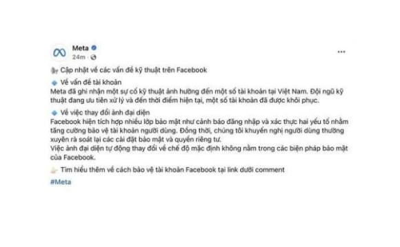 2 Meta Len Tieng Vu Facebook Viet Nam Mat Avatar Gay Hoang Mang