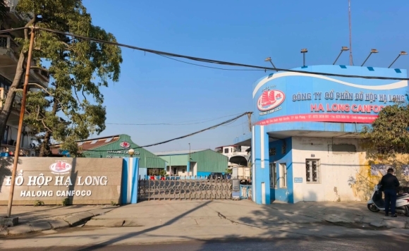 5 Trai Dang Cua Novaland Vua Chi 1400 Ty Gian Tiep Thau Tom Do Hop Ha Long Thi Vuong Lum Xum Thit Ban