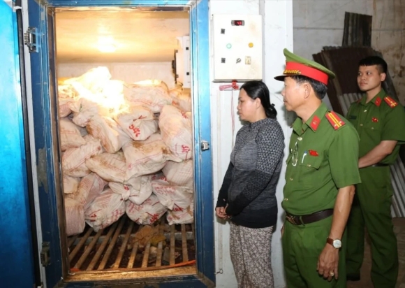 Người phụ nữ mua 12 tấn heo bệnh chết rồi bán ra thị trường