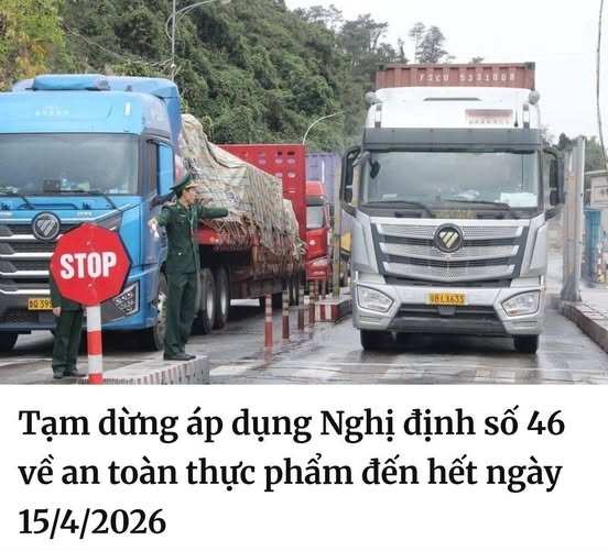 Ai sẽ chịu trách nhiệm cho những hệ lụy khi thực thi gấp Nghị định 46?