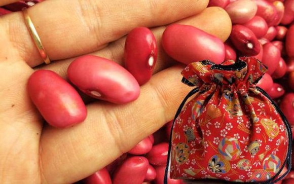 2 Dem Giao Thua Dat Thu Nay Vao Vi Nam Moi Tien Bac Rung Rinh Van Su Hanh Thong Gap Hung Hoa Cat