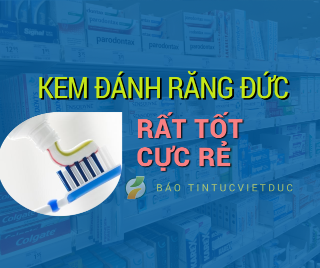 o duc nen biet nhung loai kem danh rang cuc re ma rat tot gia chi vai chuc cent 3 640