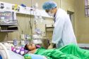 Chơi trốn tìm, bé gái lớp 4 bị ong vò vẽ đốt hơn 70 vết