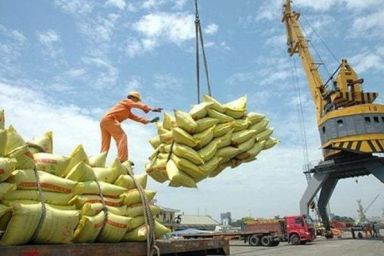 Xuất khẩu gạo Việt Nam đạt 1,1 tỷ USD quý I/2026, giá bán duy trì ổn định